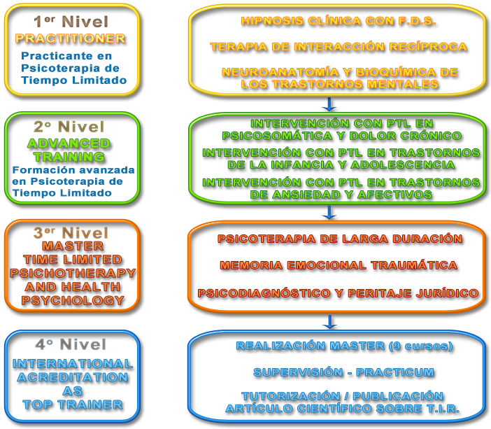 ORGANIGRAMA.png